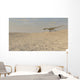 Coelophysis Running across Barren Wall Decal Design 2