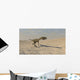 Coelophysis Running across Barren Wall Decal Design 1