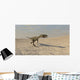 Coelophysis Running across Barren Wall Decal Design 1