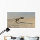 Coelophysis Running across Barren Wall Decal Design 1