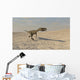 Coelophysis Running across Barren Wall Decal Design 1
