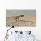 Coelophysis Running across Barren Wall Decal Design 1