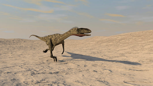 Coelophysis Running across Barren Wall Decal Design 1