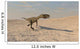 Coelophysis Running across Barren Wall Decal Design 1