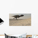 Majungasaurus Running across Barren Wall Decal Design 3