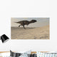Majungasaurus Running across Barren Wall Decal Design 3