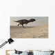 Majungasaurus Running across Barren Wall Decal Design 3