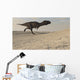 Majungasaurus Running across Barren Wall Decal Design 3