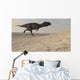 Majungasaurus Running across Barren Wall Decal Design 3