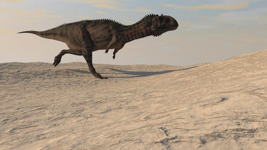 Majungasaurus Running across Barren Wall Decal Design 3