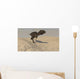 Majungasaurus Running across Barren Wall Decal Design 2