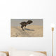 Majungasaurus Running across Barren Wall Decal Design 2
