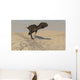 Majungasaurus Running across Barren Wall Decal Design 2