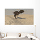 Majungasaurus Running across Barren Wall Decal Design 2