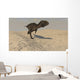 Majungasaurus Running across Barren Wall Decal Design 2