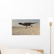 Majungasaurus Running across Barren Wall Decal Design 1