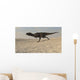 Majungasaurus Running across Barren Wall Decal Design 1