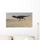 Majungasaurus Running across Barren Wall Decal Design 1