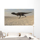 Majungasaurus Running across Barren Wall Decal Design 1