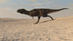 Majungasaurus Running across Barren Wall Decal Design 1