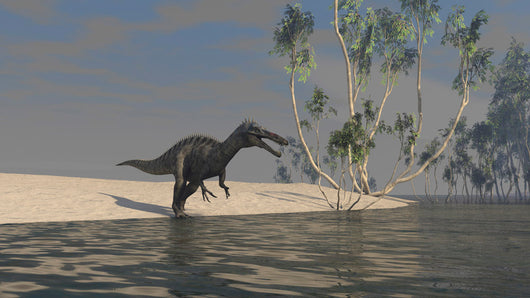 Suchomimus Hunting for Food Wall Decal
