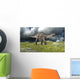 Dicraeosaurus Walking across Field Wall Decal Design 4