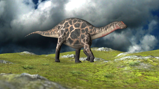 Dicraeosaurus Walking across Field Wall Decal Design 4