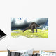 Dicraeosaurus Grazing Open Field Wall Decal Design 2