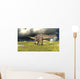Dicraeosaurus Walking across Field Wall Decal Design 3