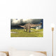Dicraeosaurus Walking across Field Wall Decal Design 3