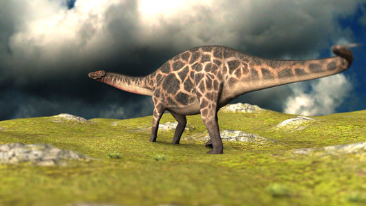 Dicraeosaurus Walking across Field Wall Decal Design 3