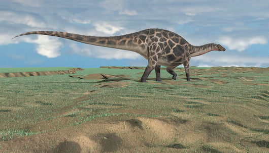 Dicraeosaurus Walking across Open Wall Decal Design 8