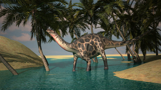 Dicraeosaurus Shallow Water Wall Decal Design 2