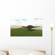 Dicraeosaurus Walking across Prehistoric Wall Decal Design 8
