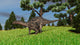 Dicraeosaurus Walking across Open Wall Decal Design 6