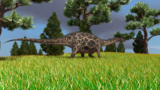 Dicraeosaurus Walking across Open Wall Decal Design 5