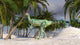Dilophosaurus Hunting Arid Climate Wall Decal