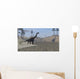 Large Brachiosaurus Roaming Edge Wall Decal