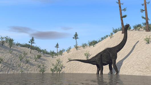 Large Brachiosaurus Standing Lake Wall Decal Design 2