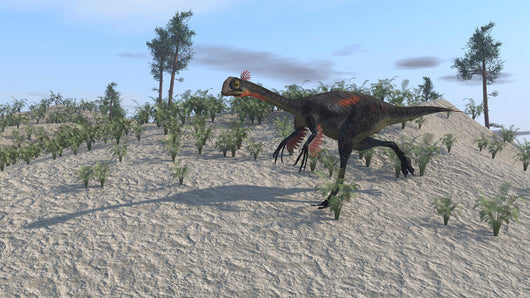 Gigantoraptor Running across Prehistoric Wall Decal Design 2