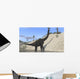 Large Brachiosaurus Standing Lake Wall Decal Design 1