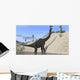 Large Brachiosaurus Standing Lake Wall Decal Design 1