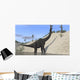 Large Brachiosaurus Standing Lake Wall Decal Design 1