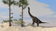 Large Brachiosaurus Grazing Tall Wall Decal