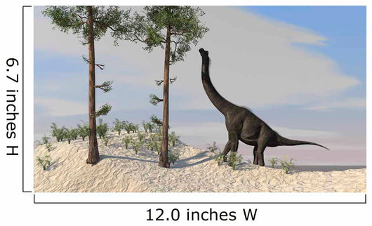 Large Brachiosaurus Grazing Tall Wall Decal