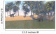 Large Brachiosaurus Grazing Tropical Wall Decal Design 3