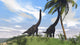 Two Large Brachiosaurus Grazing Wall Decal Design 5