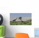 Two Large Brachiosaurus Grazing Wall Decal Design 4
