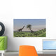 Two Large Brachiosaurus Grazing Wall Decal Design 4