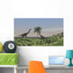 Two Large Brachiosaurus Grazing Wall Decal Design 4